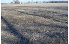 Property photo 38 - East Allen County - 55 Acre Land Auction